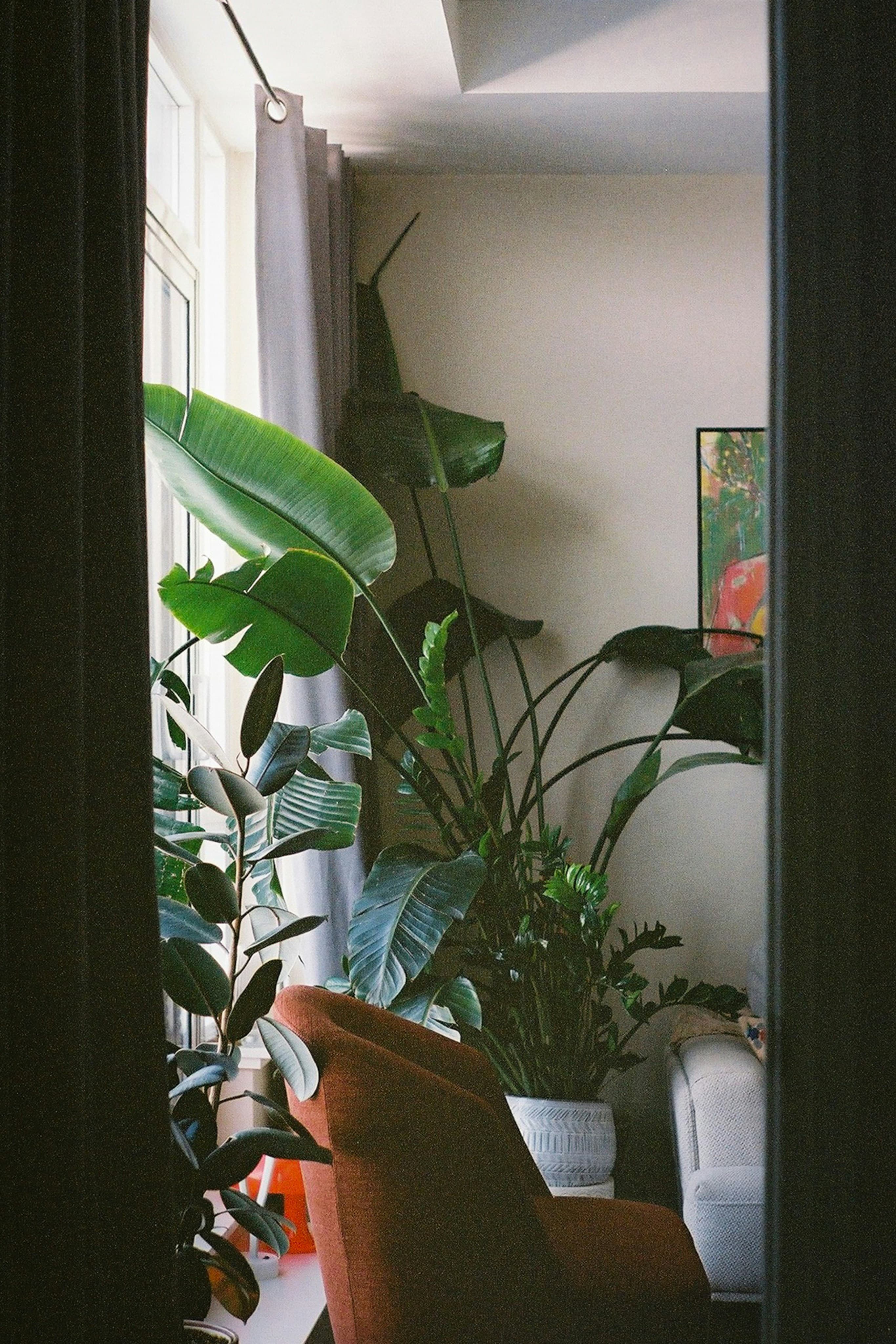 A calm room with plants and an armchair by the window