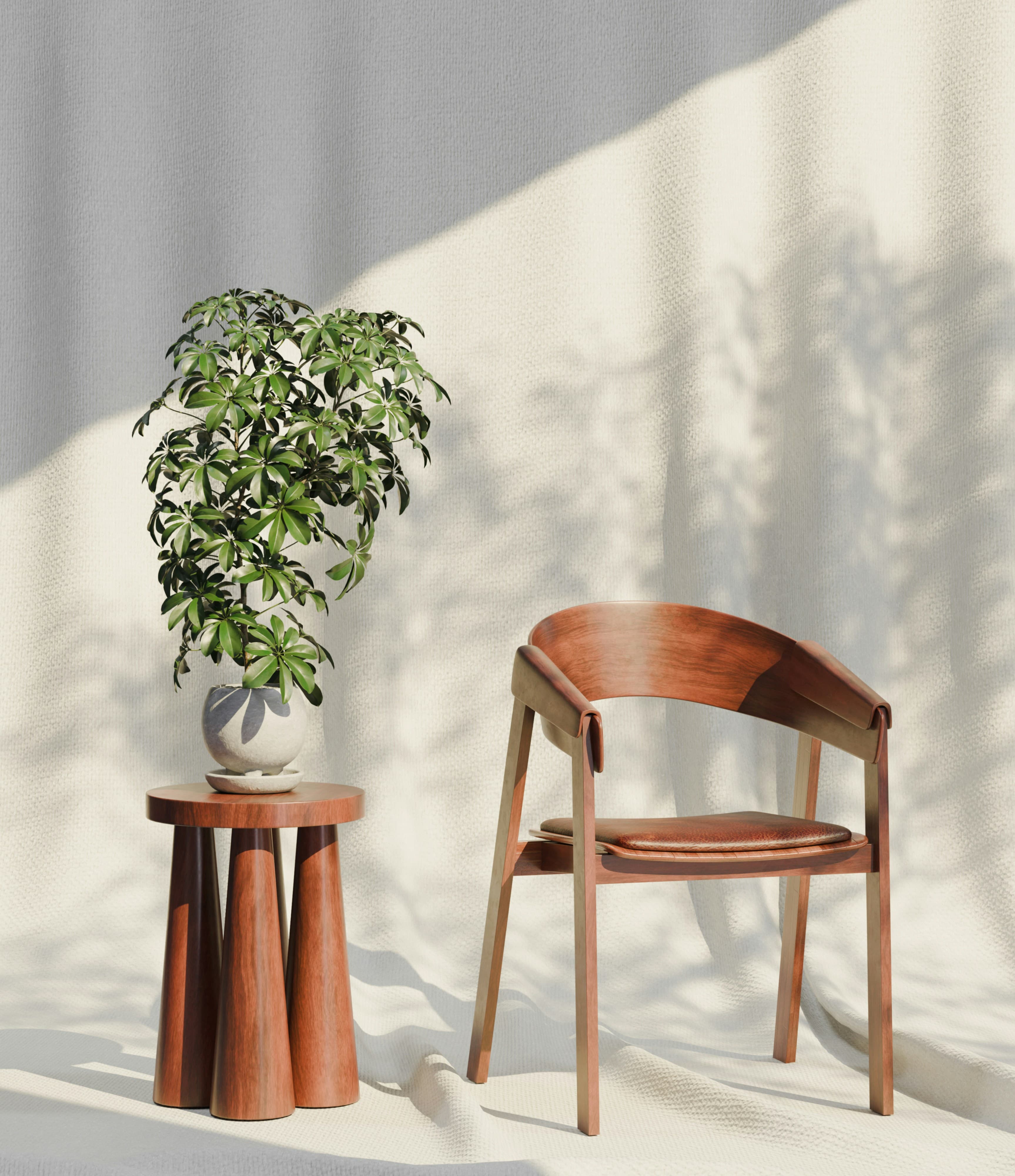 A wooden chair beside a potted plant